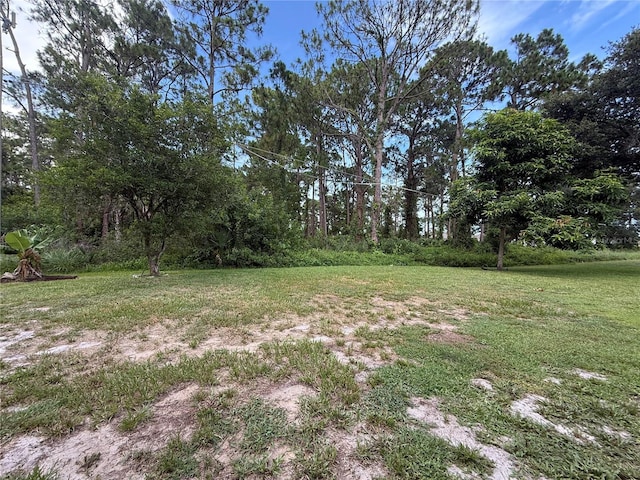 831 Fletcher Rd SE, Palm Bay, FL 32909 - view of green lawn