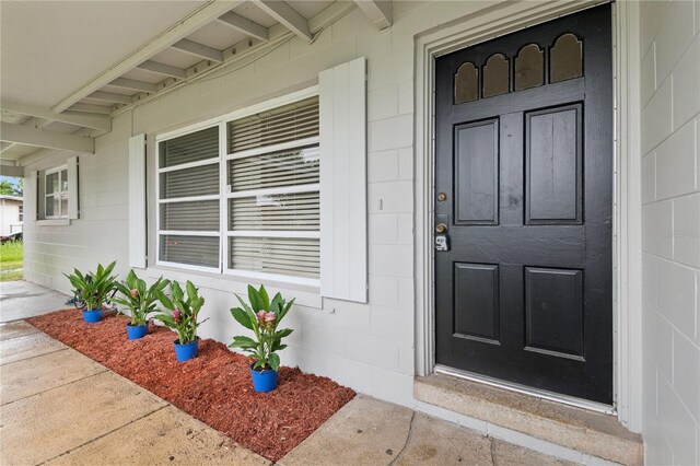 941 Grey Oak Ct, Orlando, FL 32809 - photo 3