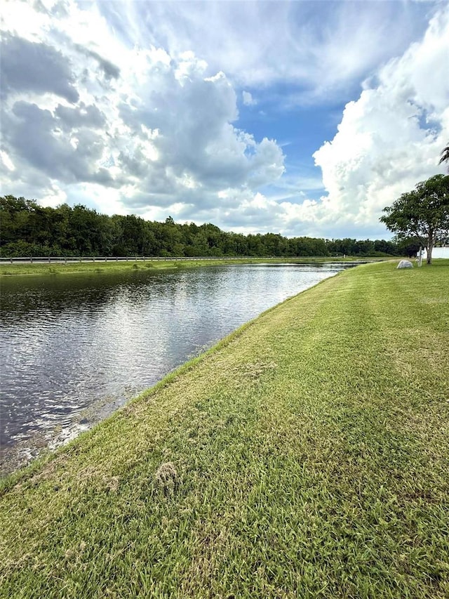 3539 Maple Ridge Loop, Kissimmee, FL 34741 - water view