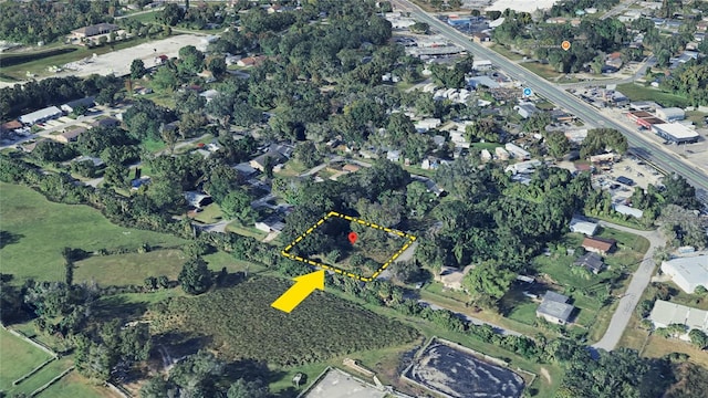 5200 1st St, Orlando, FL 32810 - photo 16