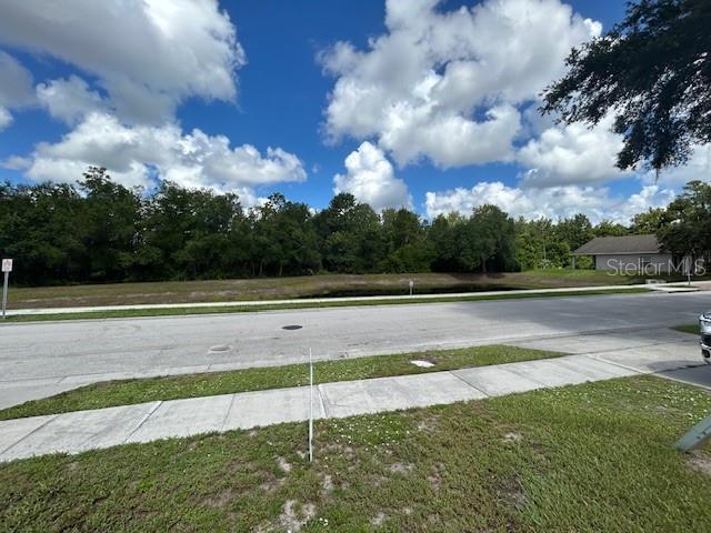 2131 Kaylas Ct, Orlando, FL 32817 - view of street featuring sidewalks