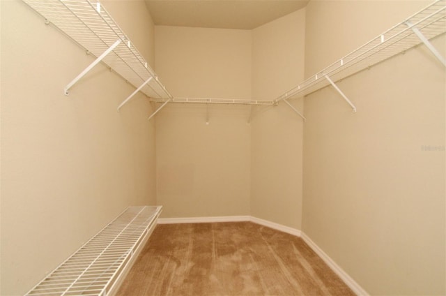 2131 Kaylas Ct, Orlando, FL 32817 - walk in closet with carpet flooring
