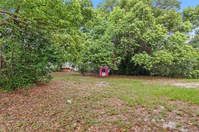 1066 Swanson Dr, Deltona, FL 32738 - view of yard