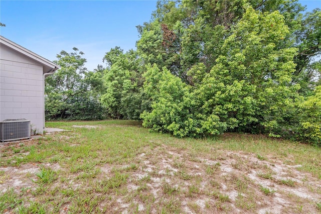 1066 Swanson Dr, Deltona, FL 32738 - view of yard