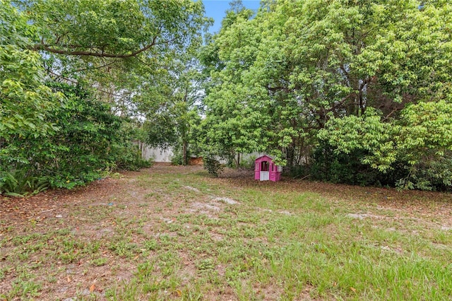 1066 Swanson Dr, Deltona, FL 32738 - view of yard