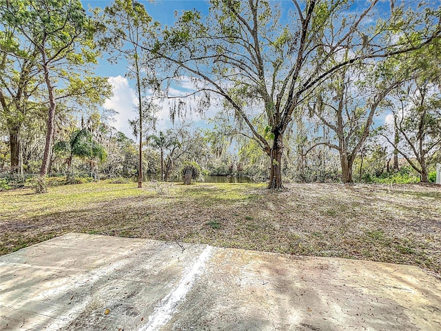 3322 Heather Glynn Dr, Mulberry, FL 33860 - photo 35