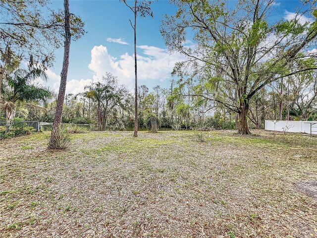 3322 Heather Glynn Dr, Mulberry, FL 33860 - photo 38