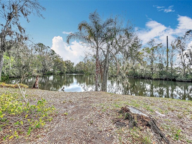 3322 Heather Glynn Dr, Mulberry, FL 33860 - photo 39