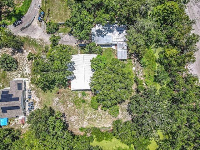 1240 Alligator Aly, Haines City, FL 33844 - photo 32