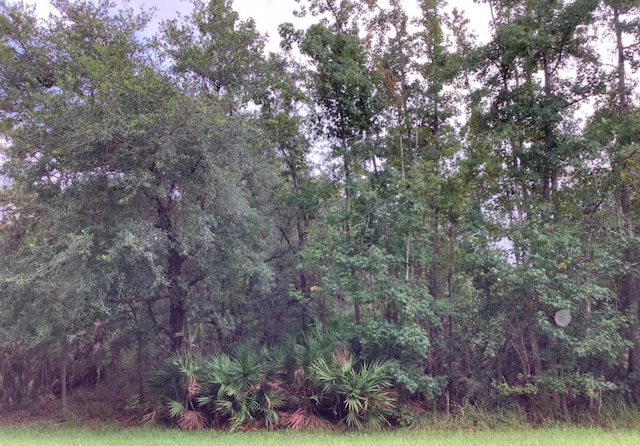 Sabal St, Orlando, FL 32833