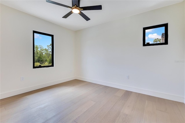 19925 Quinella St, Orlando, FL 32833 - photo 24