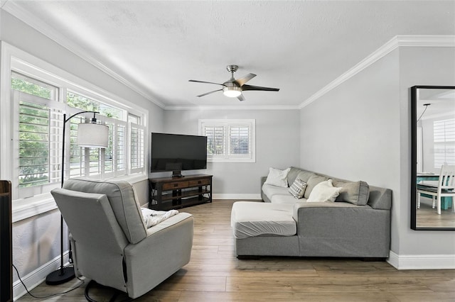 509 Altaloma Ave, Orlando, FL 32803 - photo 8
