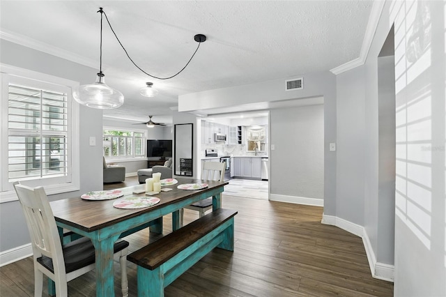 509 Altaloma Ave, Orlando, FL 32803 - photo 13