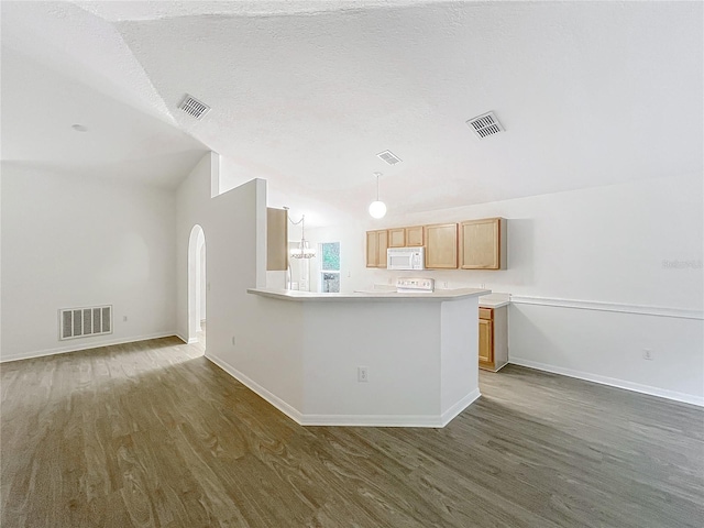2353 Kingscrest Cir, Apopka, FL 32712 - kitchen with white microwave, dark wood-style floors, light countertops, arched walkways, and a textured ceiling
