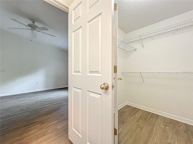 2353 Kingscrest Cir, Apopka, FL 32712 - walk in closet featuring wood finished floors and a ceiling fan