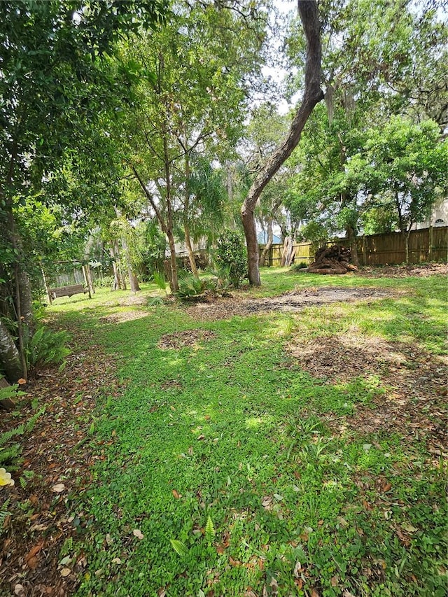 1524 Crawford Dr, Apopka, FL 32703 - view of yard