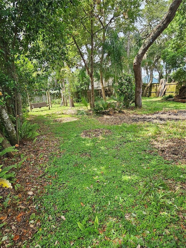 1524 Crawford Dr, Apopka, FL 32703 - view of yard