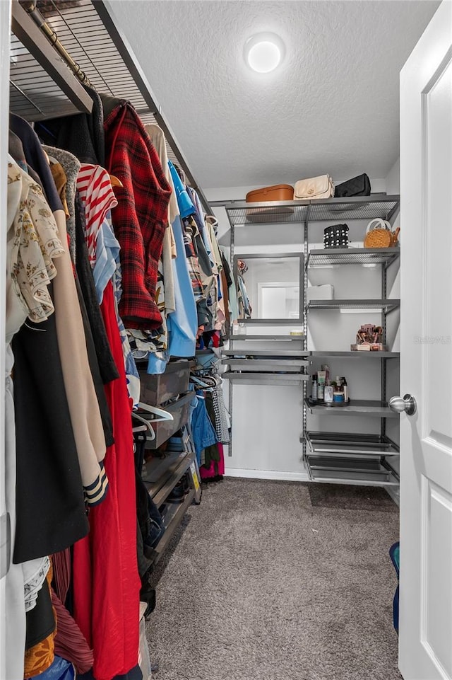 944 Benjamin Trl, Davenport, FL 33837 - spacious closet with carpet flooring