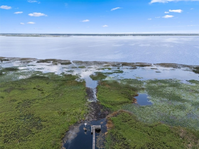 2921 Lake Tohopekaliga Blvd, Kissimmee, FL 34746 - water view