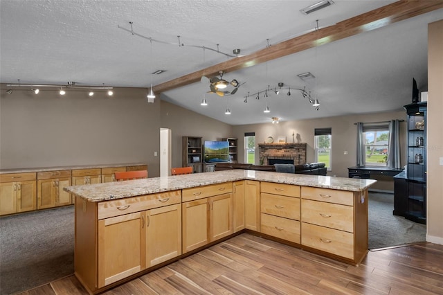 2921 Lake Tohopekaliga Blvd, Kissimmee, FL 34746 - kitchen with open floor plan, light brown cabinets, track lighting, plenty of natural light, and a textured ceiling