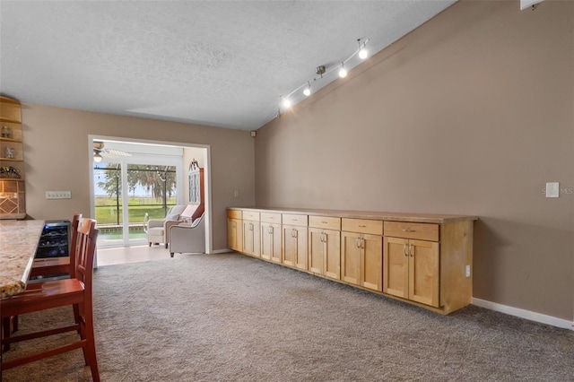 2921 Lake Tohopekaliga Blvd, Kissimmee, FL 34746 - sitting room with carpet, a textured ceiling, and track lighting