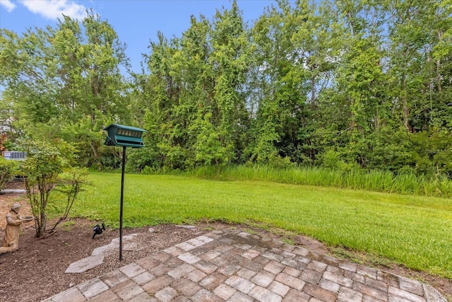 9440 Myrtle Creek Ln Unit 1003, Orlando, FL 32832 - photo 23