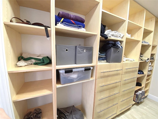 2400 Presidential Way Unit 1104, West Palm Beach, FL 33401 - spacious closet featuring light wood-style flooring