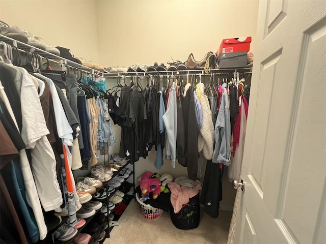 17504 Butterfly Pea Ct, Clermont, FL 34714 - spacious closet featuring carpet flooring