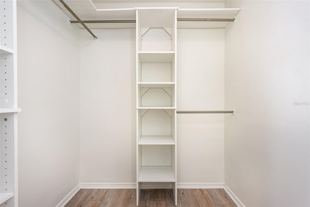 85 Levee Ln, Ormond Beach, FL 32174 - spacious closet with wood finished floors
