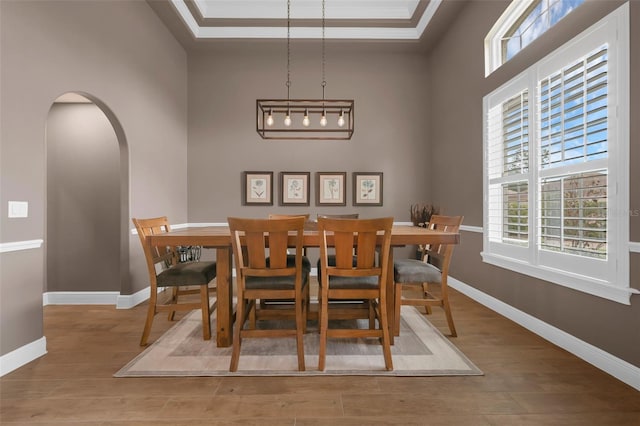 1462 Palm Bay Ct, Lake Mary, FL 32746 - dining room with wood finished floors, a towering ceiling, arched walkways, a raised ceiling, and ornamental molding
