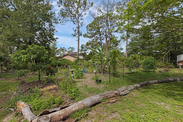 2630 S Tanner Rd, Orlando, FL 32820 - photo 55