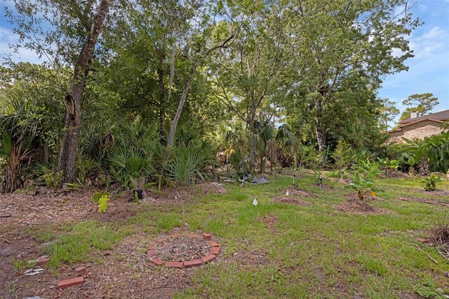 2630 S Tanner Rd, Orlando, FL 32820 - photo 56