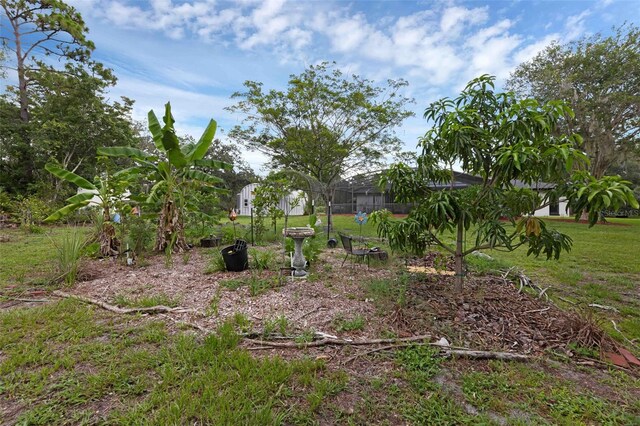 2630 S Tanner Rd, Orlando, FL 32820 - photo 59