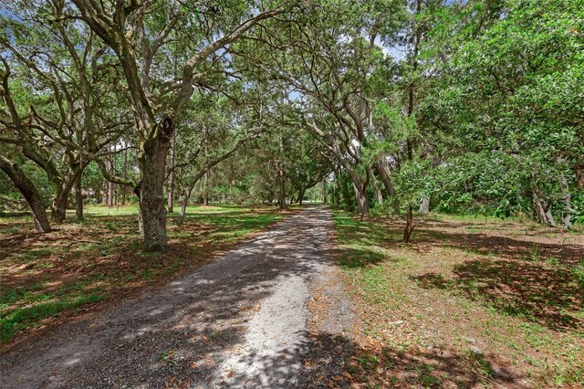2630 S Tanner Rd, Orlando, FL 32820 - photo 68