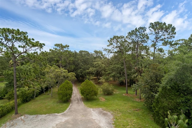 2630 S Tanner Rd, Orlando, FL 32820 - photo 70