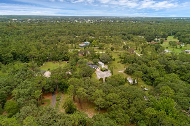 2630 S Tanner Rd, Orlando, FL 32820 - photo 95