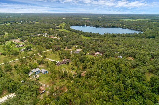 2630 S Tanner Rd, Orlando, FL 32820 - photo 100