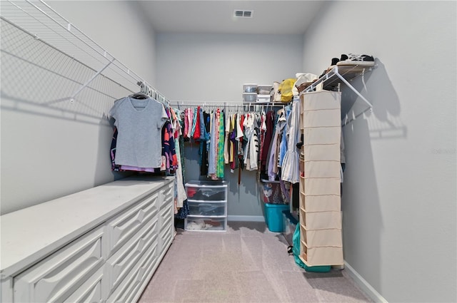 410 Winter Bliss Ln, Mount Dora, FL 32757 - walk in closet featuring carpet