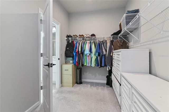 410 Winter Bliss Ln, Mount Dora, FL 32757 - spacious closet with light colored carpet