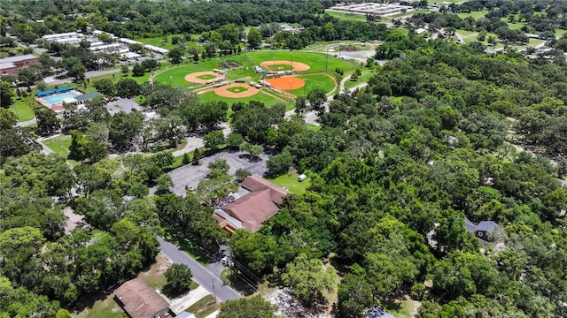 410 Winter Bliss Ln, Mount Dora, FL 32757 - aerial view