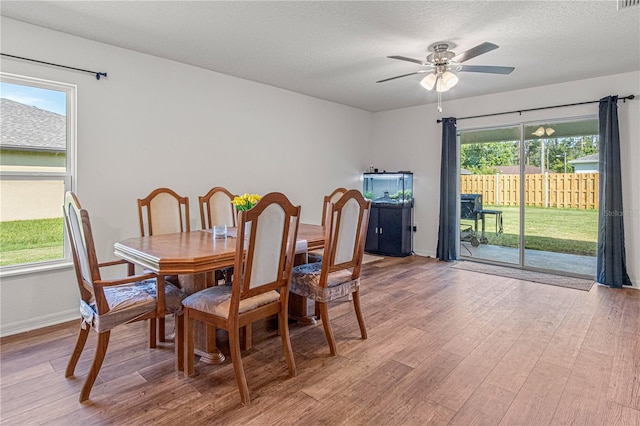 13 Ryken Ln, Palm Coast, FL 32164 - dining area featuring a ceiling fan, light wood-style floors, and a textured ceiling