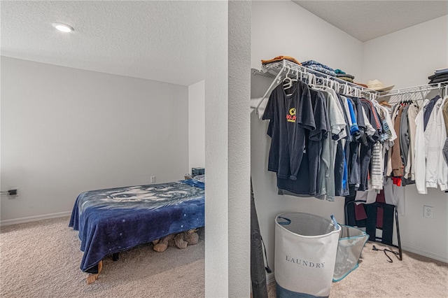 13 Ryken Ln, Palm Coast, FL 32164 - walk in closet with carpet flooring