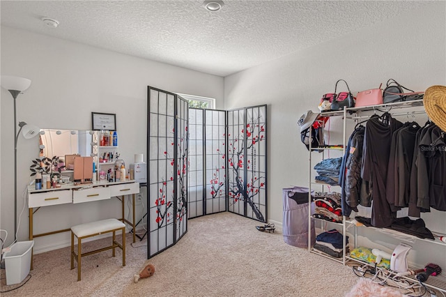 13 Ryken Ln, Palm Coast, FL 32164 - walk in closet with carpet flooring