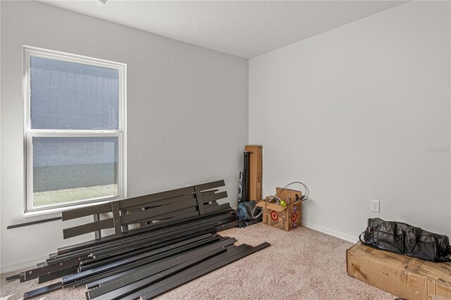 13 Ryken Ln, Palm Coast, FL 32164 - miscellaneous room featuring carpet floors and baseboards