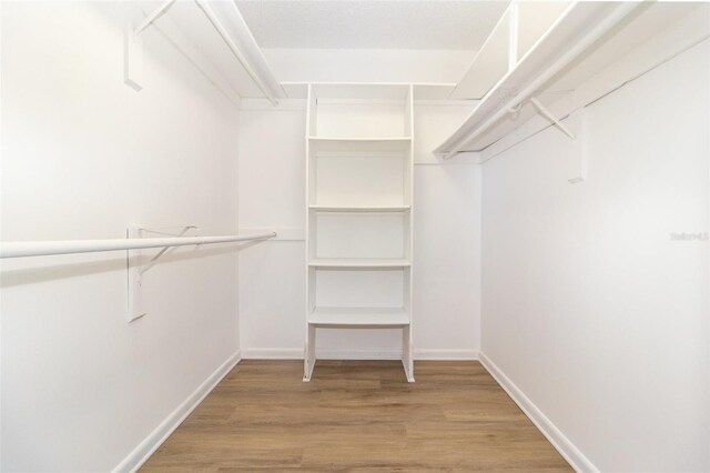 1424 Mt Laurel Dr, Winter Springs, FL 32708 - spacious closet featuring light wood-style flooring