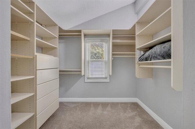 7801 Georgeann St, Winter Park, FL 32792 - spacious closet featuring carpet floors
