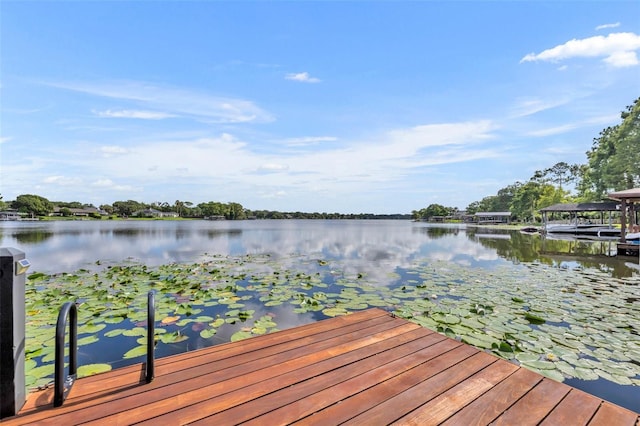 7801 Georgeann St, Winter Park, FL 32792 - dock featuring a water view