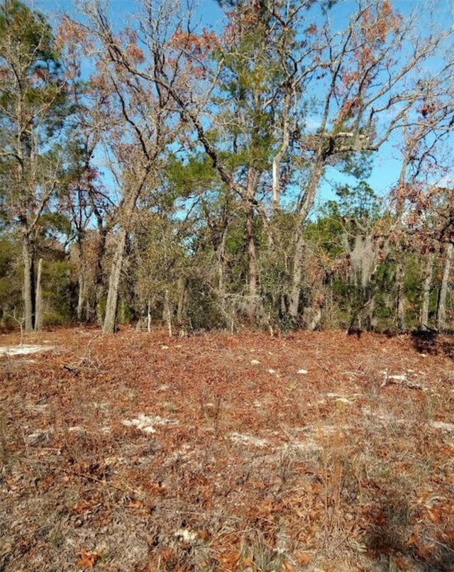 112 S Edgeline Rd, Satsuma, FL 32189 - photo 4