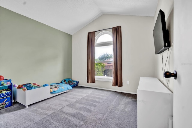 2235 Meadowmouse St, Orlando, FL 32837 - unfurnished bedroom with lofted ceiling and carpet flooring