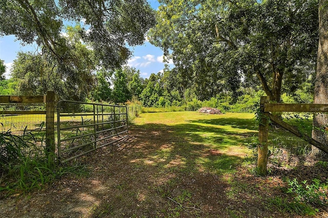 8024 Florida Boys Ranch Rd, Groveland, FL 34736 - photo 31